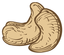 Cashew Nuts